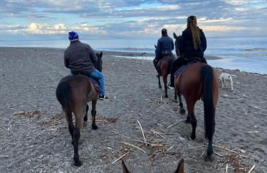 Sea View 2 Bedroom Vacation Apartment - Foto 36