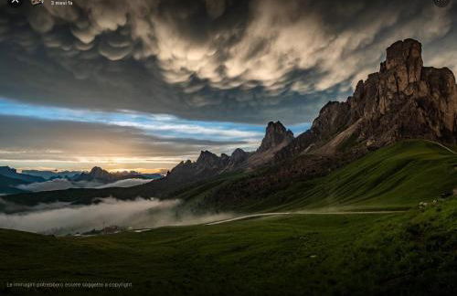 Cesa Fossal - Foto 37