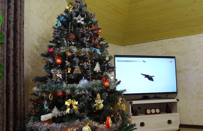 FAVAR Carpathians - Photo 16