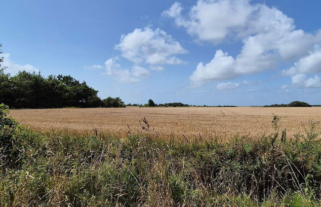 6 Person Holiday Home in Skaerbaek - Foto 8