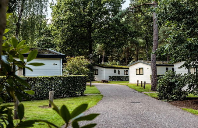 Designer Chalet in the Veluwe - Photo 24