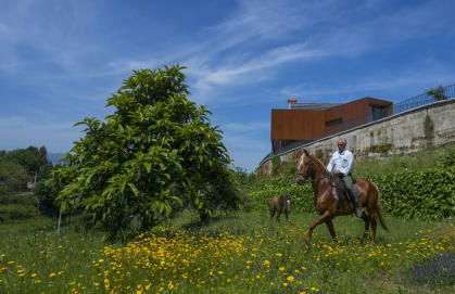 Quinta do Fontelo - Foto 24