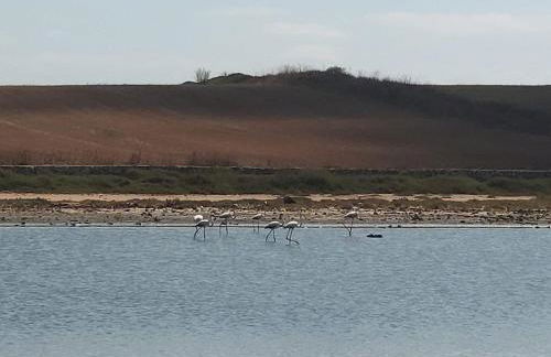 L'Araucaria Appartamento Suite Il Ginepro - Foto 47