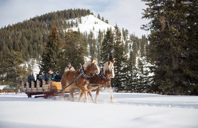 320 Guest Ranch - Photo 50