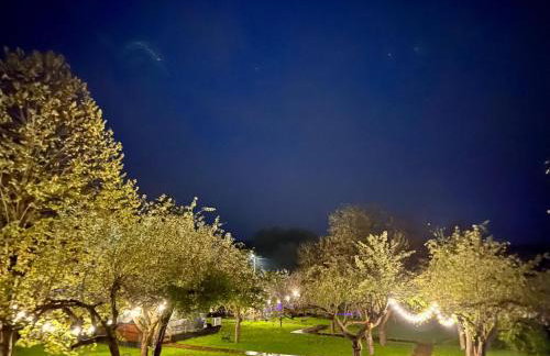 Na Skraju Lasu Domek na Drzewie & Glamping - Foto 79