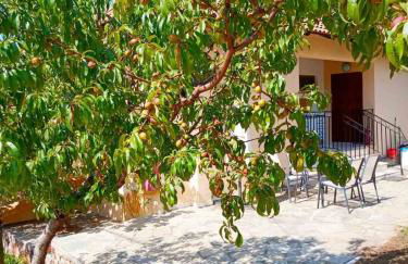 Oliveto e mare - Foto 25