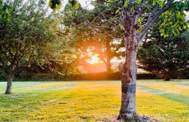 The annex on our farm - Foto 20