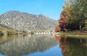 Andar Moradia T4 na Casa do Olival - Foto 40