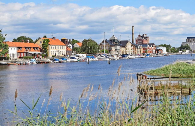 4 Star Holiday Home in Ahus-by Traum - Foto 24