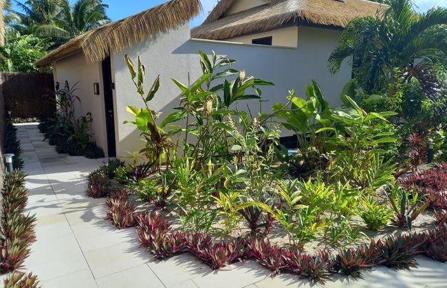 Serenity Villas Rarotonga - Photo 70