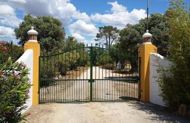 MONTE DAS AREIAS CASA DE CAMPO/PASSADIÇO/PATEO/RAMPA - Photo 1