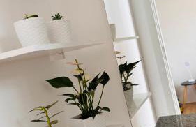 Joe Prime Studio - Porto Maravilha - Foto 67