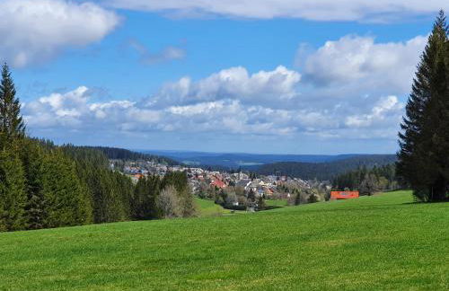 Ferienhaus Sonnengelb im Herzen des Schwarzwaldes - Foto 21