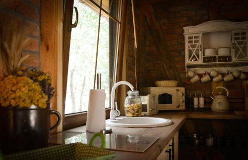 Cegiełka w Skarlance - Foto 12