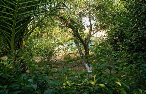 Agali Beach Apartments Seaside Stay in Chios - Foto 38