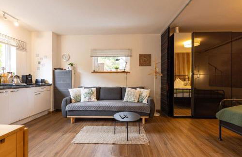 Ruhiges 1-Zi-Apartment, ideal für Kurzaufenthalt für bis zu 4 Personen - Foto 1