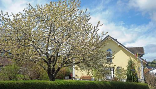 Ferienwohnung Landfein Schalkenmehren - Foto 5
