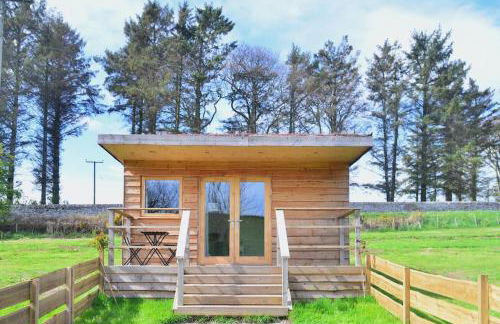 Anniston Mill Cabin 1 - Photo 11