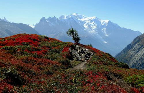 Chez Charles | Vallorcine Viachamonix - Foto 48