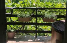 Queen bee's nest - Foto 19