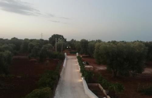 Virginia Country house - Foto 63