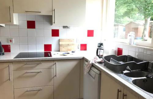 Home Comforts in Peaceful 2 Acres - Photo 45