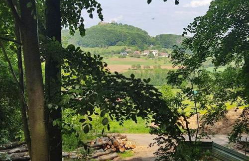 Holiday home Waldhaus Edelweiss - Foto 17