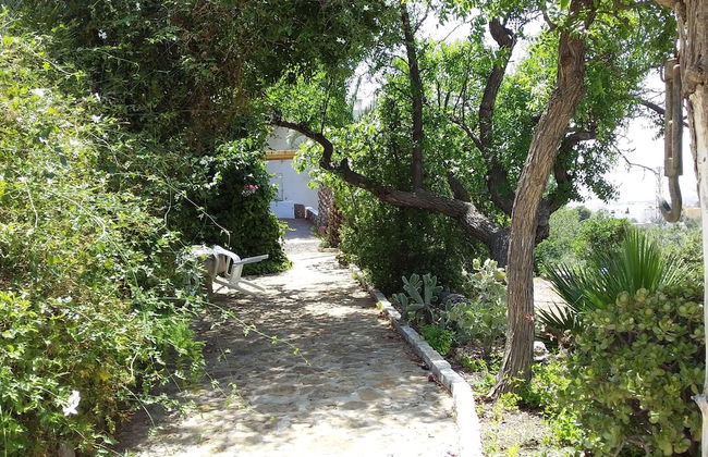 Cortijos Manzano - Photo 14