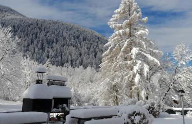 Soggiorno Vacanze Stella Alpina - Foto 22