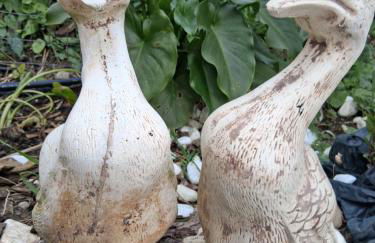 Villa Eden - Foto 17