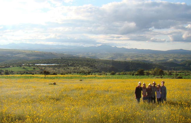 Canyon Hiking Experience – Halbtages-Tour - Foto 7