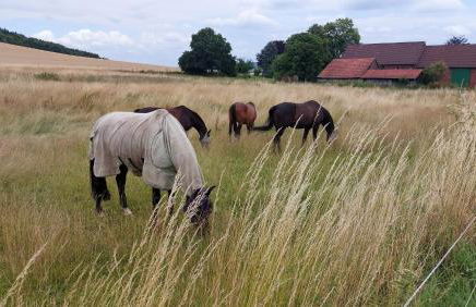 Ferienwohnung MW 1b 82m2 Höxter Weserbergland Weser inkl 2 Terrassen Wäsche und Endreinigung Self CheckIn - Foto 52