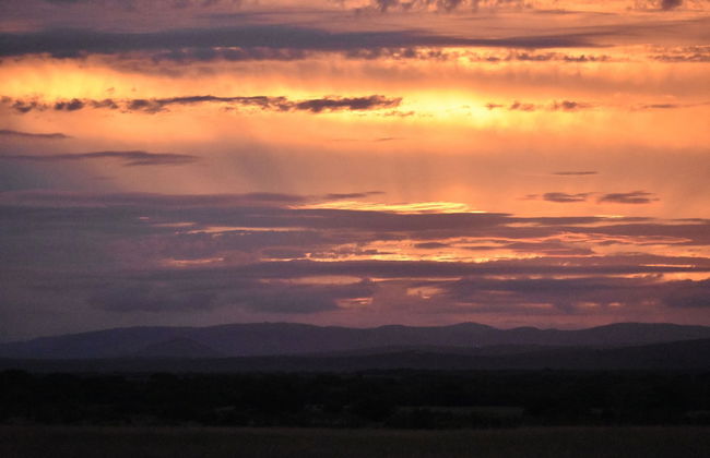 Amorello Safari Park - Photo 58