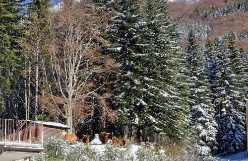 Alpe di Sara - Foto 10