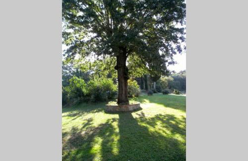 Salceta, a Tuscany Country House - Photo 65