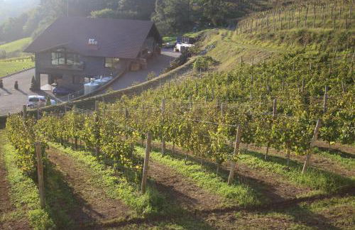 Casa Rural Erretzabal Txiki - Foto 41