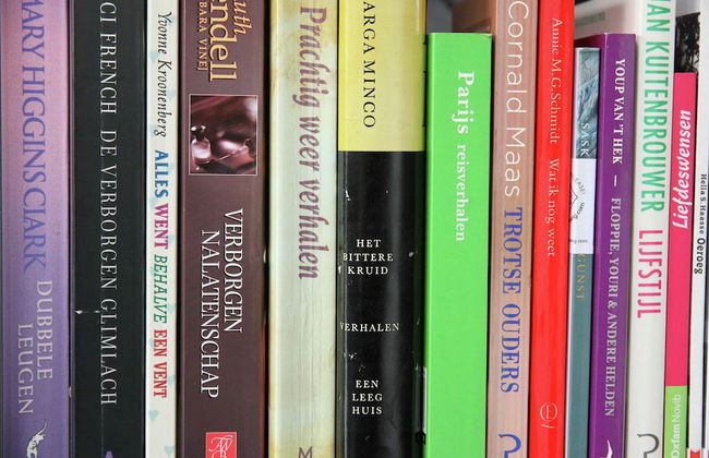 Holiday Home in Langweer With Infrared Sauna - Foto 19