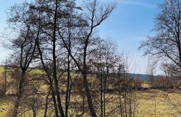 Mitteraubach - Foto 7