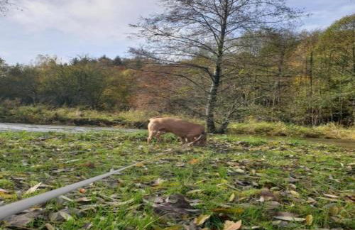 Charming Holiday Home with Private Pool - Foto 35