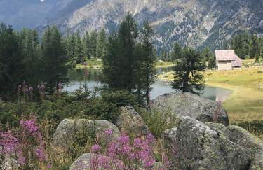 Baita Martin da Fist - Foto 77