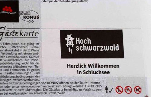 Black Forest Schwarzwaldliebe Pool Sauna Tennis Tischtennis Wifi Prime Tv Natur - Foto 24