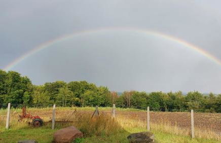Zielony Domek - Foto 10