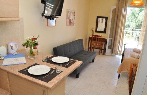 Polymnia Apartments Lassi - Photo 59