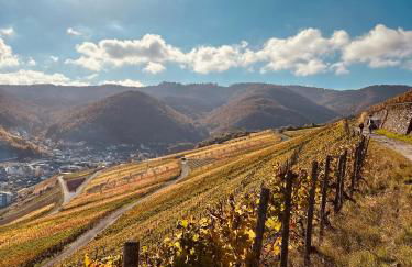 Knabbüüß - Foto 30