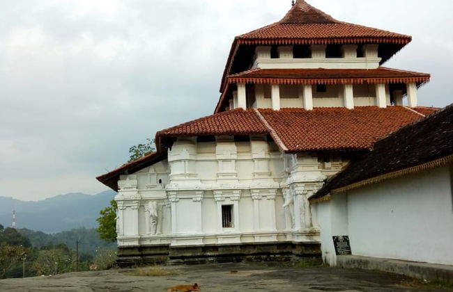 Captain's Bungalow - Foto 50