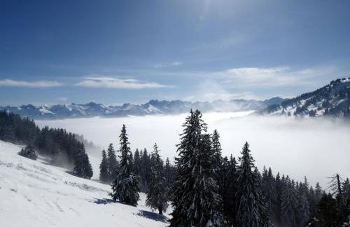 Ferienwohnung Am Kräutergarten - mit Pool, Sauna und Garage - Foto 27