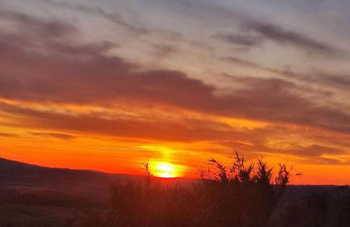 Unique Experience Crete Senesi HILLS - Foto 19