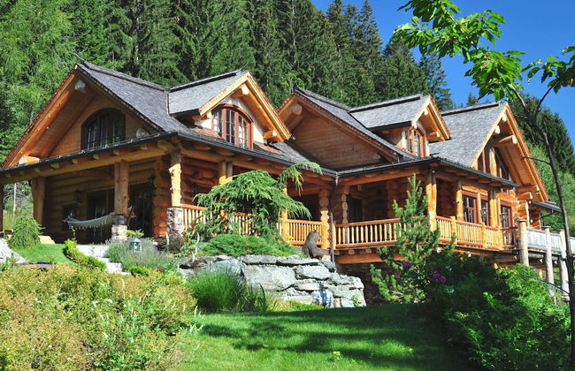 Chalet in Bad Kleinkirchheim With 2 Saunas - Photo 22