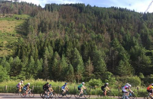 Afan Forest House - Private doubles or Twin options! - Foto 26