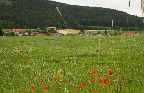 Fewo Alte Schule - Foto 37